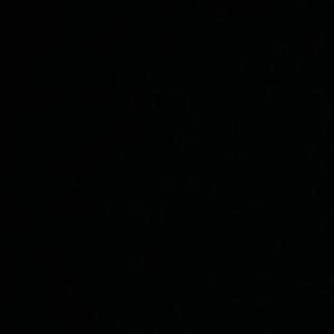 Meet your Posher, Joy